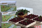 事业占卜高速赋能产业升级：一条“杨梅路”的致富密码